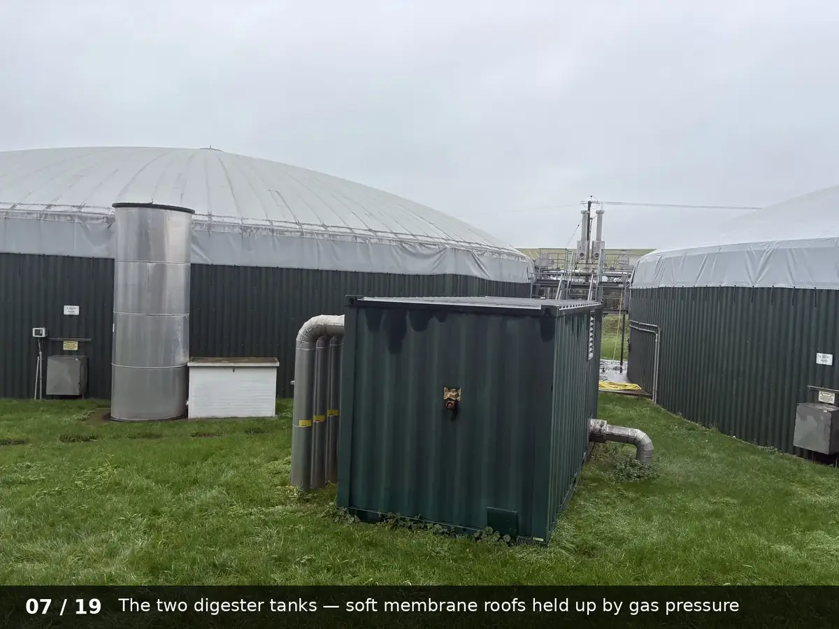 Digester tanks